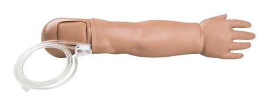 Modele zabiegowe 3B Scientific W45032