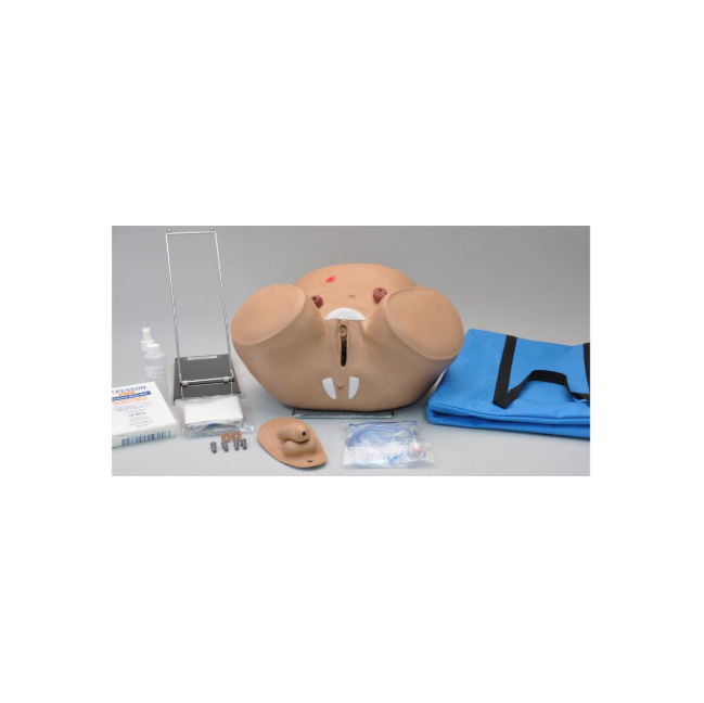 Modele zabiegowe 3B Scientific W45068