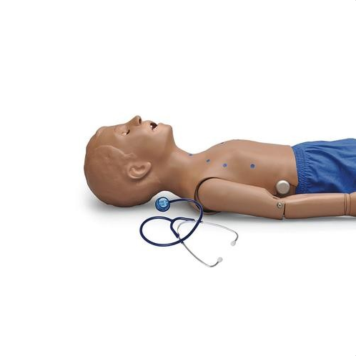 Modele zabiegowe 3B Scientific W45097