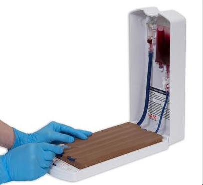 Modele zabiegowe 3B Scientific W46513