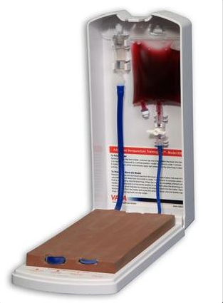 Modele zabiegowe 3B Scientific W46513