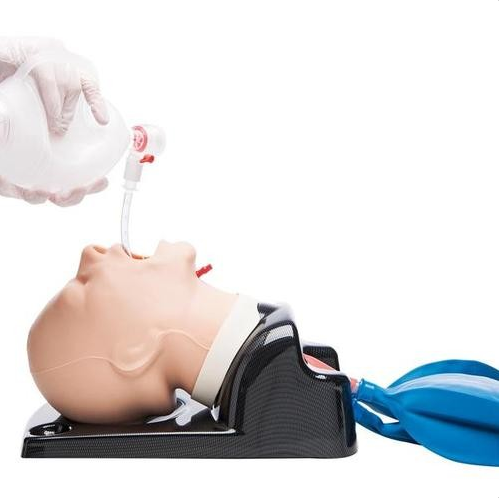 Modele zabiegowe 3B Scientific W47404