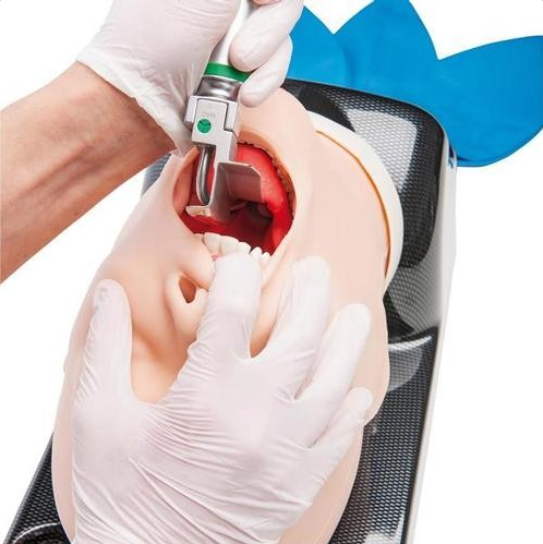 Modele zabiegowe 3B Scientific W47404