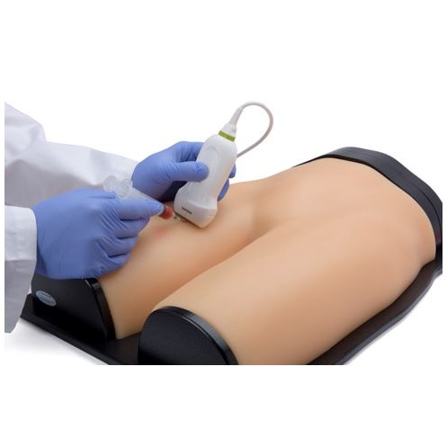 Modele zabiegowe CAE Healthcare Blue Phantom BPF1500-HP