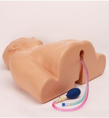 Modele zabiegowe CAE Healthcare Blue Phantom GEN II