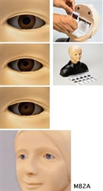 Modele zabiegowe KYOTO KAGAKU KKM82