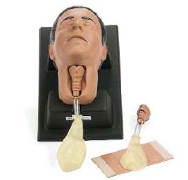 Modele zabiegowe Laerdal Cricoid Stick Trainer