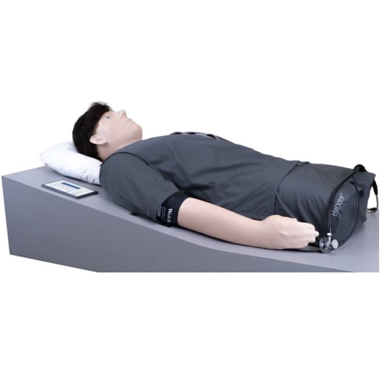 Modele zabiegowe Laerdal Harvey