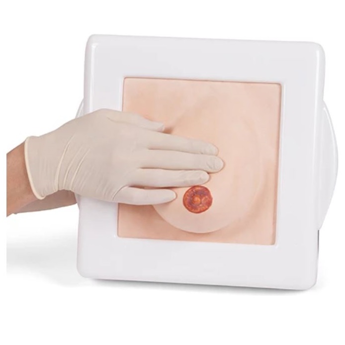 Modele zabiegowe Limbs&Things 40044