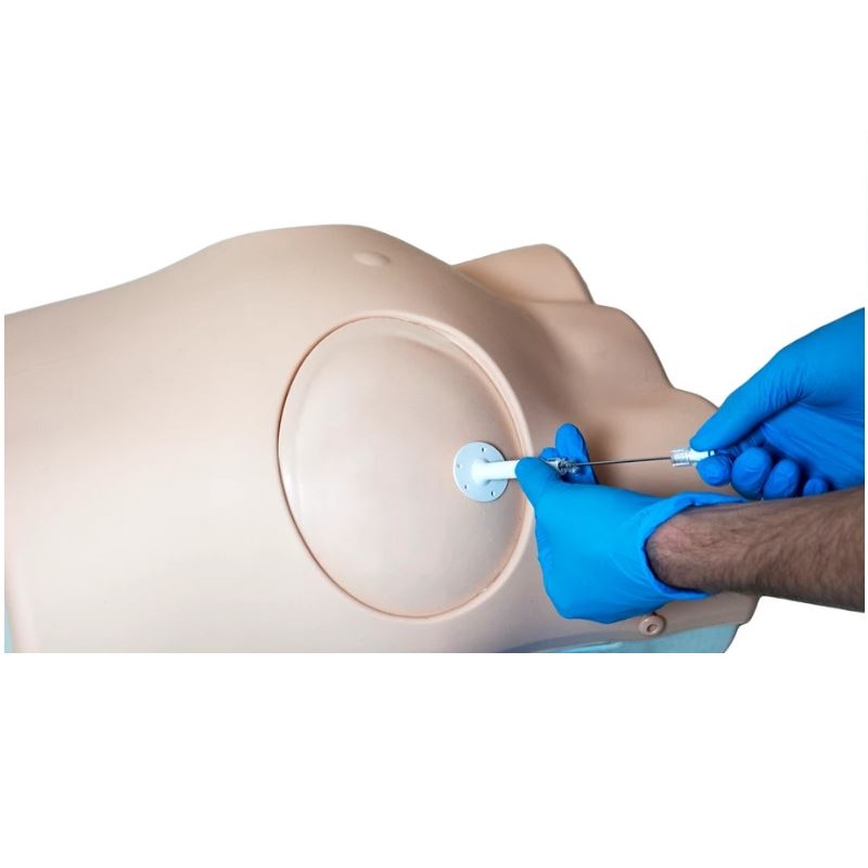 Modele zabiegowe Limbs&Things 60100