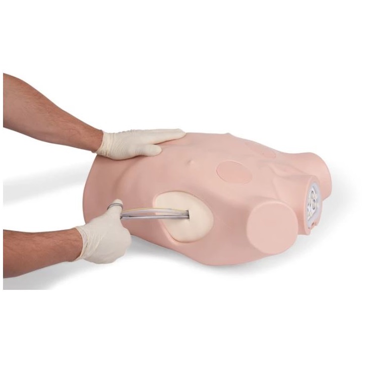 Modele zabiegowe Limbs&Things 60230