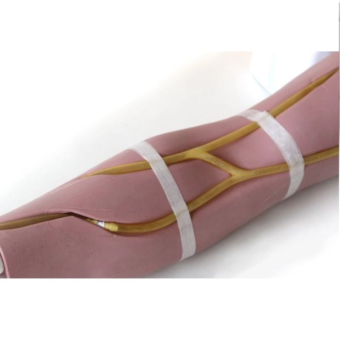 Modele zabiegowe Limbs&Things 70304 / 70302 / 70300 