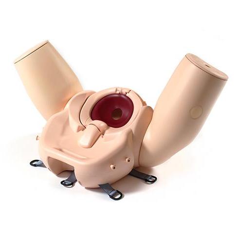 Modele zabiegowe Limbs&Things PROMPT 80100