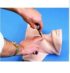 Modele zabiegowe Nasco LF01082U