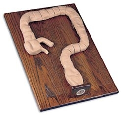 Modele zabiegowe Nasco LF01084U