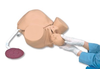 Modele zabiegowe Nasco SB23536U