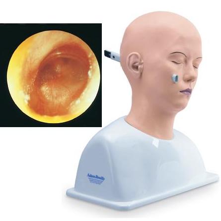 Modele zabiegowe Nasco SB38894U