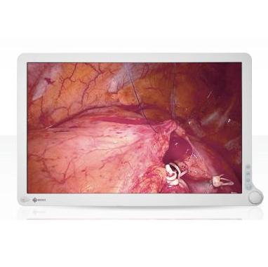 Monitory medyczne Eizo RadiForce EX240W