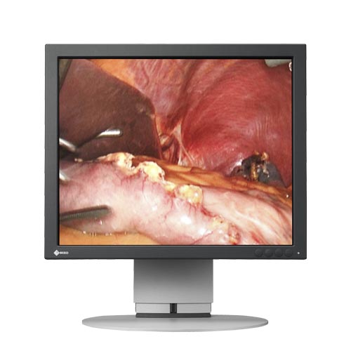 Monitory medyczne Eizo SCD 19102