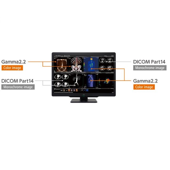 Monitory medyczne JVC CL-S600