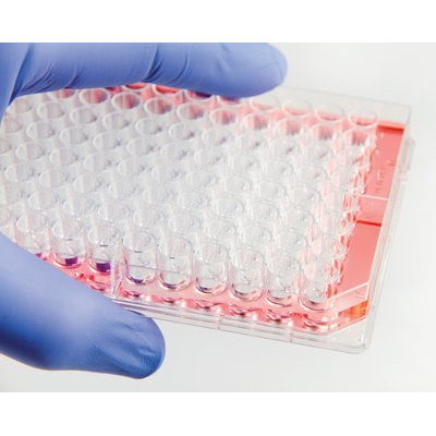 Naczynia do hodowli komórkowych THERMO SCIENTIFIC Nunc Edge 2.0