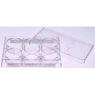 Naczynia do hodowli komórkowych VWR płytki wielodołkowe