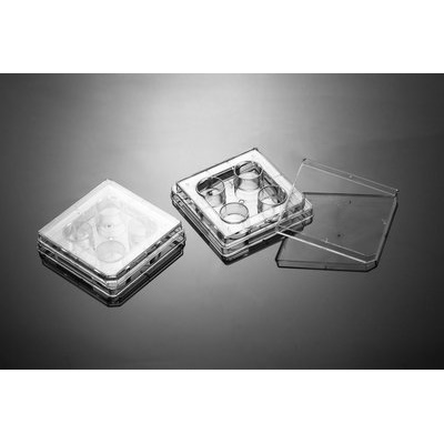 Naczynia do hodowli komórkowych VWR płytki wielodołkowe