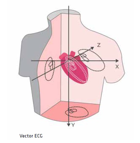 Oprogramowanie do Aparatów EKG SCHILLER Wektorowe