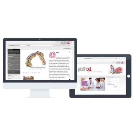 Oprogramowanie mikroskopowe PHILIPS Tutor