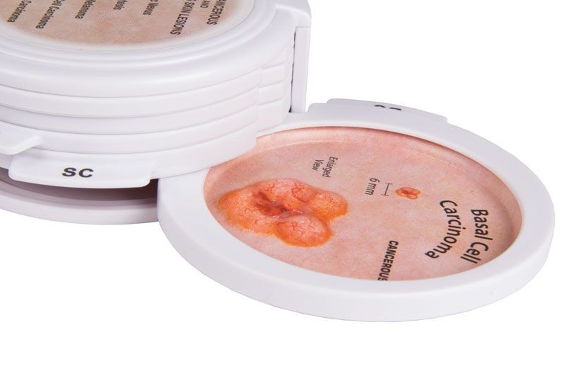 Organy i narządy 3B Scientific J56