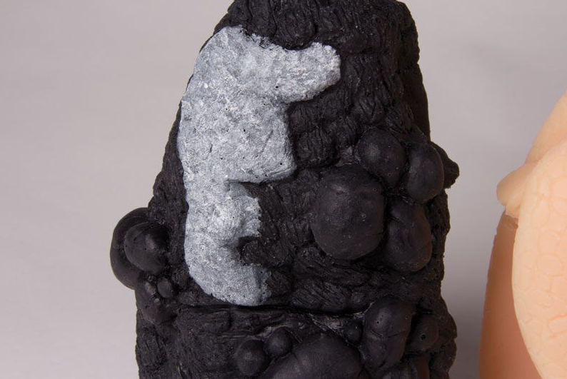 Organy i narządy 3B Scientific R10063