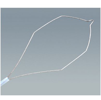 Pętle do endoskopów giętkich Wilson Instruments Pętle elektrochirugiczne  do endoskopów giętkich Wilson