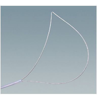 Pętle do endoskopów giętkich Wilson Instruments Pętle elektrochirugiczne  do endoskopów giętkich Wilson