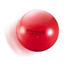 Piłki rehabilitacyjne Thera Band Thera Band