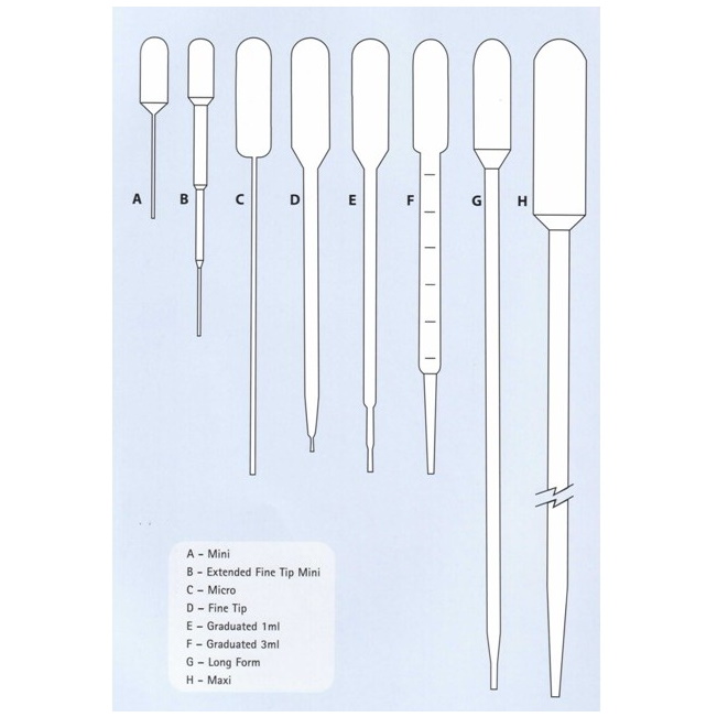 Pipety z tworzyw sztucznych International Scientific Supplies Pipety Pasteura, TYP E