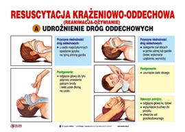 Plansze edukacyjne B/D Pierwsza pomoc - zestaw plansz