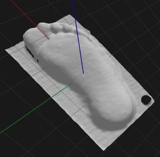 Podoskopy Koordynacja PODOSCAN3D