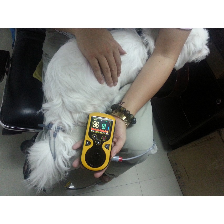 Pulsoksymetry weterynaryjne GIMA OXY-100 VET PULSE OXIMETER