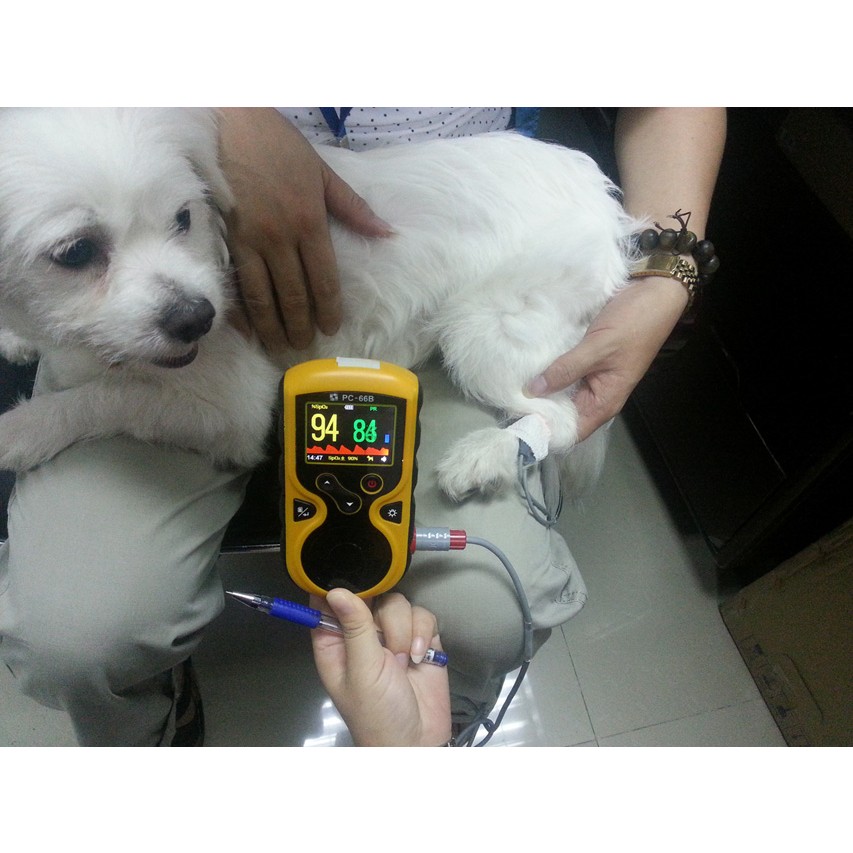 Pulsoksymetry weterynaryjne GIMA OXY-100 VET PULSE OXIMETER