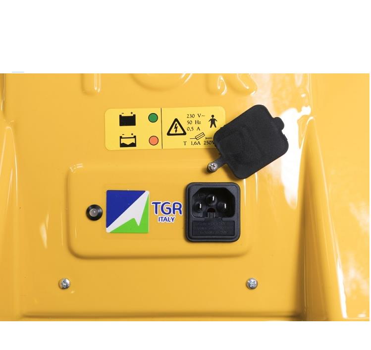 Schodołazy gąsienicowe TGR Jolly 150 Plus