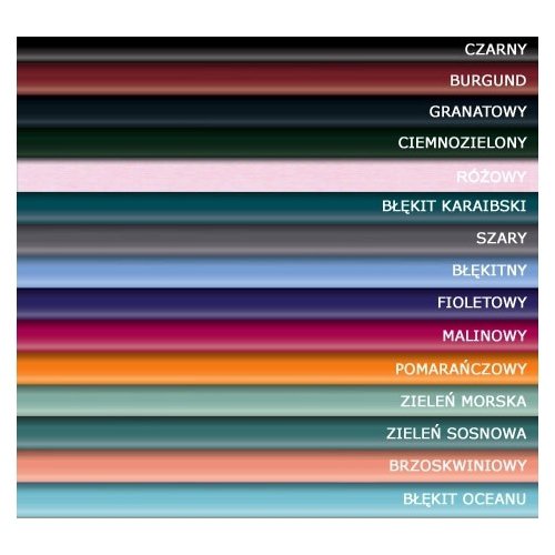 Stetoskopy konwencjonalne 3M Littmann Cardiology S.T.C.