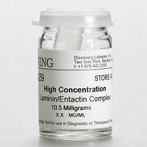 Suplementy i dodatki do hodowli komórek Corning Life Science Laminina