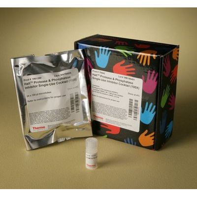 Suplementy i dodatki do hodowli komórek THERMO SCIENTIFIC koktajle inhibitorów proteaz i fosfataz Halt