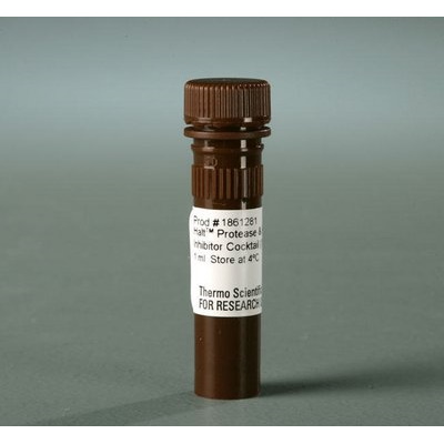 Suplementy i dodatki do hodowli komórek THERMO SCIENTIFIC koktajle inhibitorów proteaz i fosfataz Halt