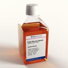 Surowice Biowest Płodowa surowica bydlęca (FBS) pochodzenie Południowa Ameryka