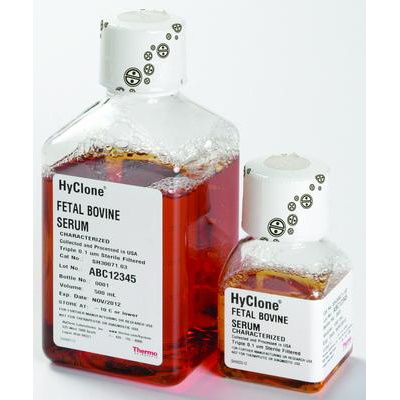 Surowice Cytiva HyClone Fetal Bovine Serum