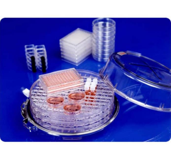 Systemy hodowli w kontrolowanej atmosferze Billups-Rothenberg MIC-101