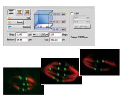 Systemy komputerowej analizy badań mikroskopowych Nikon NIS Elements