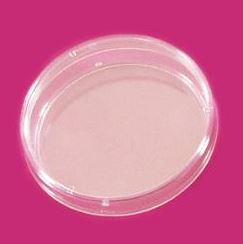 Szalki Petriego z tworzyw sztucznych LP Italiana Płytki Petriego