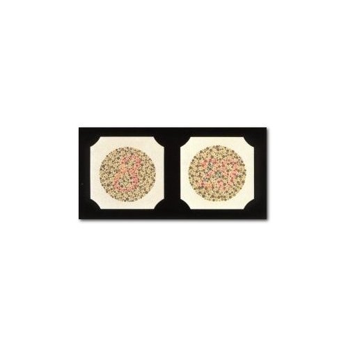 Tablice do rozpoznawania barw (Ishihary) Kanehara 24 tablice